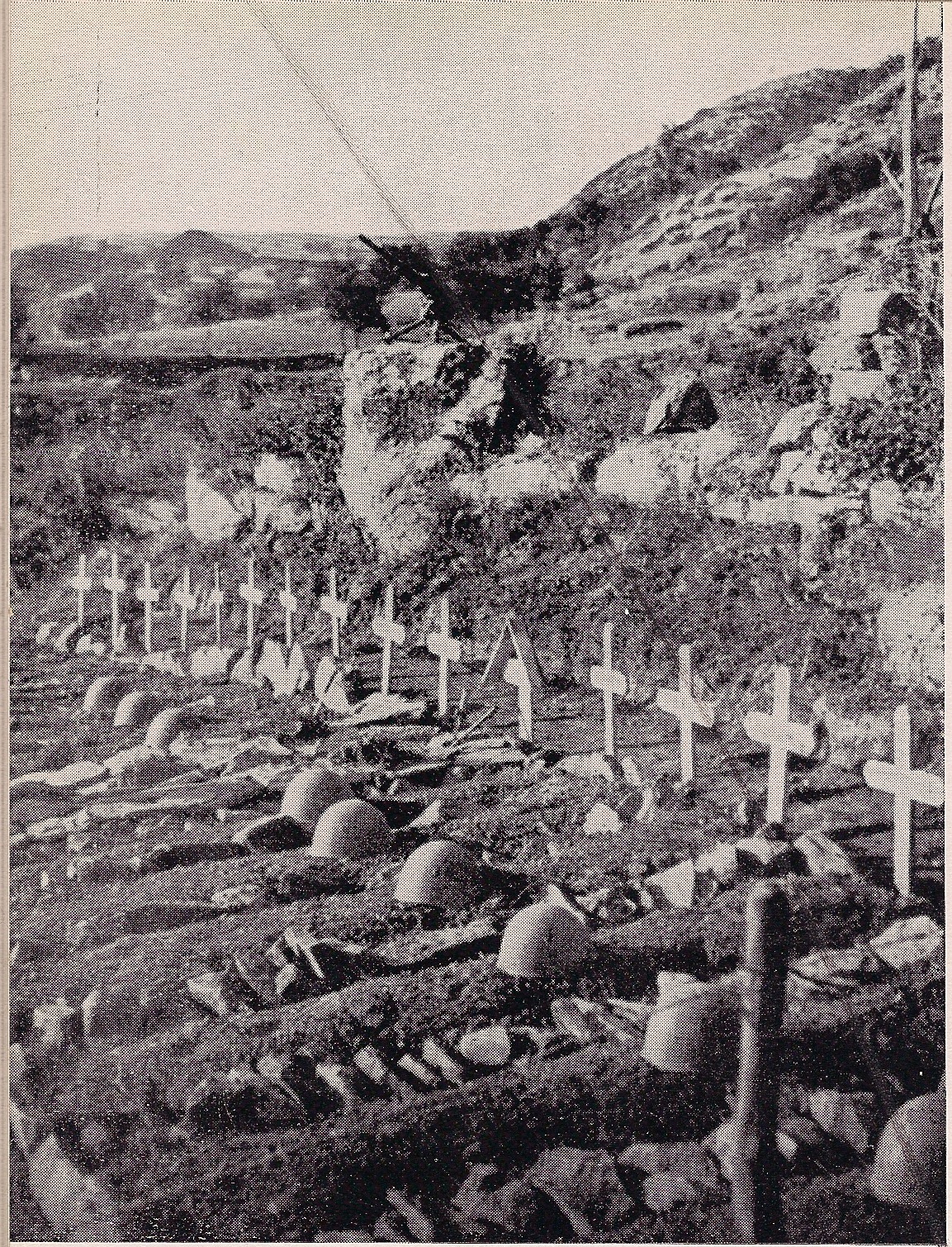 lupi-cimiteri-a-kaizza-in-albania-2